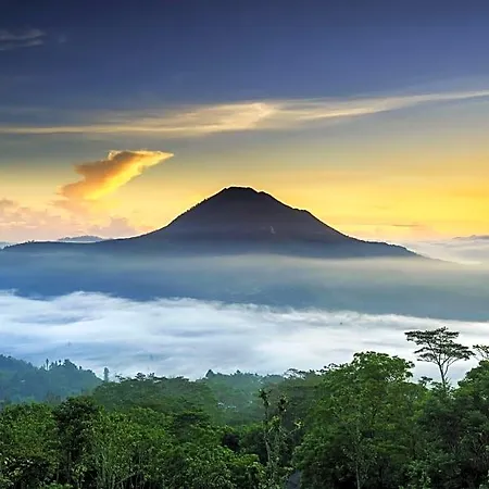 Bali Lesung